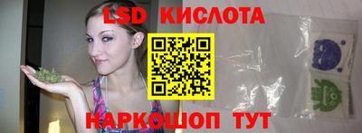 гашик Кимры