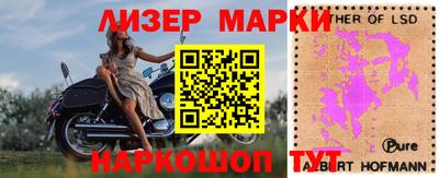 гашик Кимры