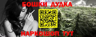 гашик Кимры