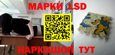 гашик Кимры